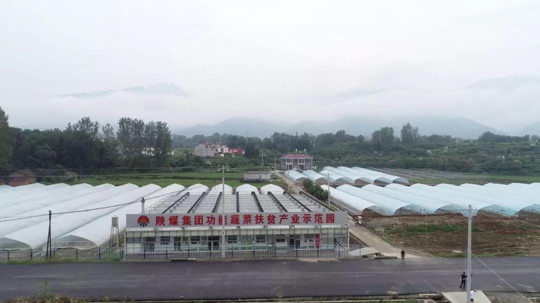 汉阴富硒大米价格多少(陕西富硒大米)-硒宝网