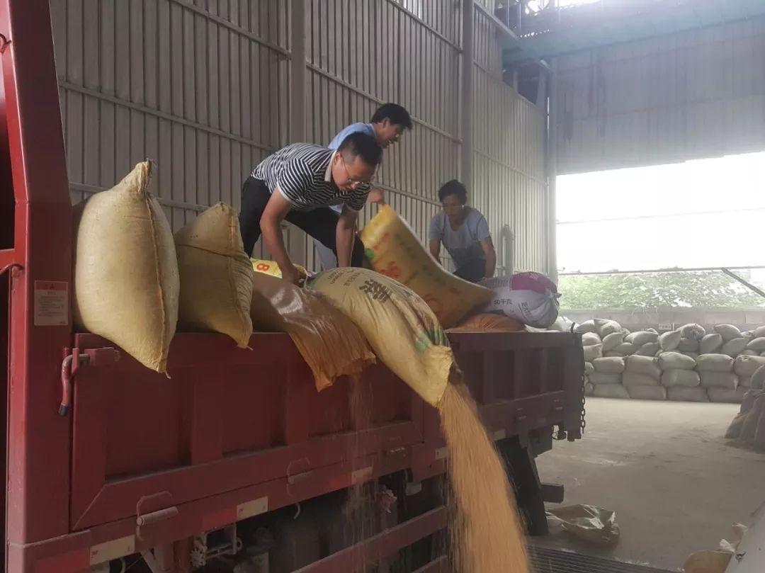 汉阴富硒大米价格多少(陕西富硒大米)-硒宝网