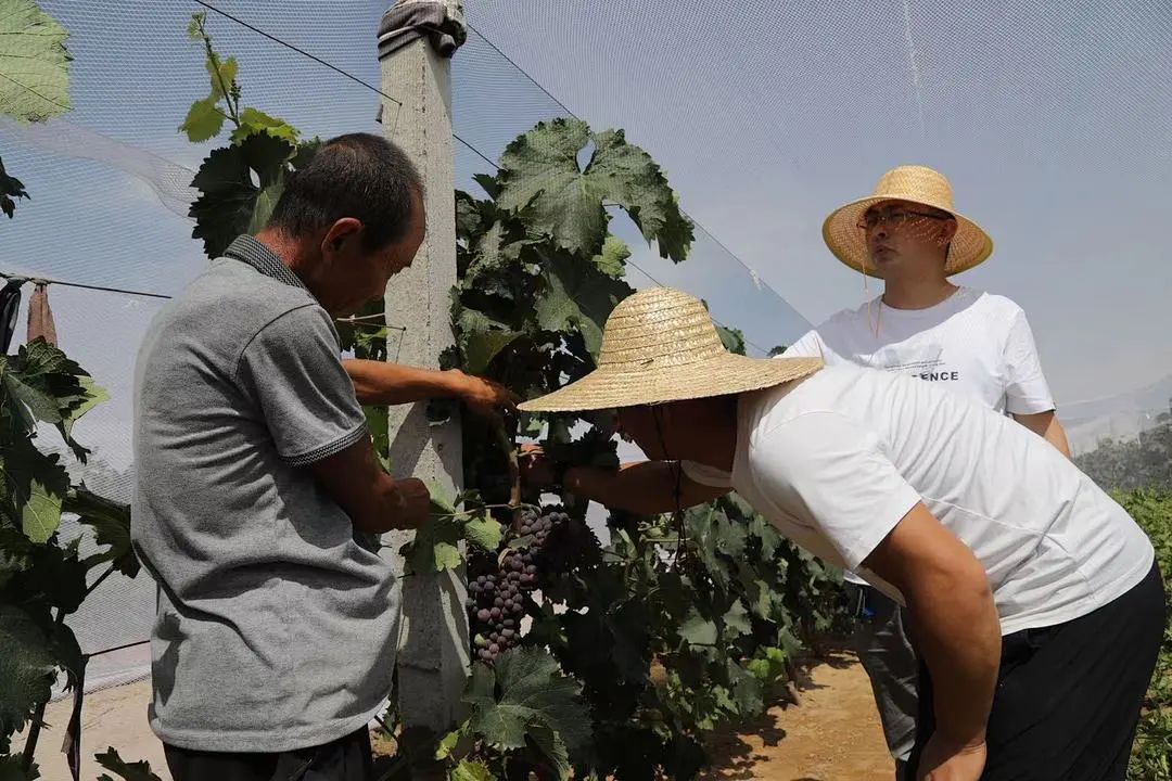 鱼河富硒大米销售规模(鱼河富硒大米包装)-硒宝网