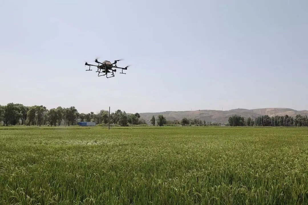 鱼河富硒大米销售规模(鱼河富硒大米包装)-硒宝网