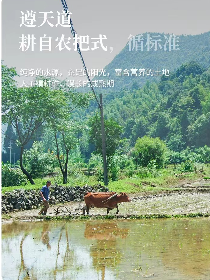 富硒大米的品质是什么(大米品质富硒是什么品种)-硒宝网