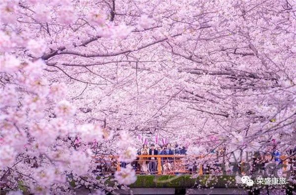 安徽产富硒大米的地方(安微富硒大米)-硒宝网