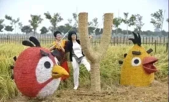 安徽产富硒大米的地方(安微富硒大米)-硒宝网