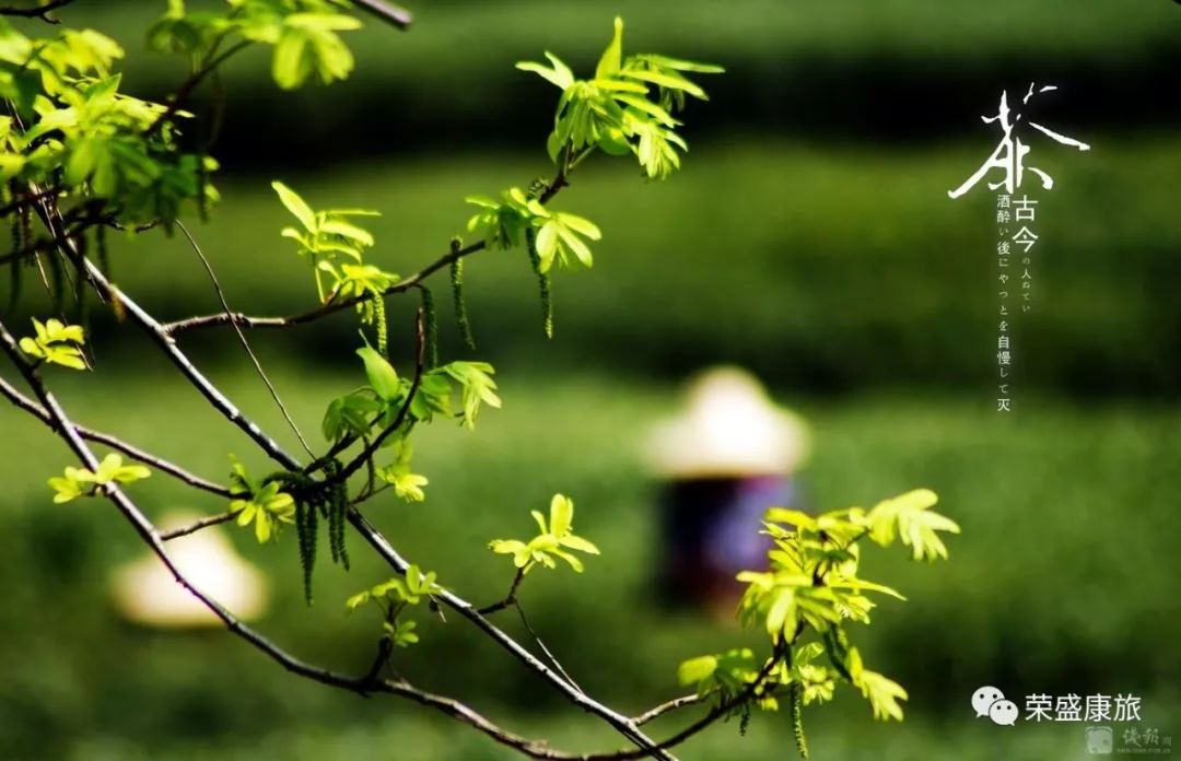 安徽产富硒大米的地方(安微富硒大米)-硒宝网