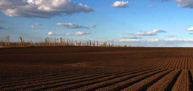 安徽产富硒大米的地方（安徽富硒大米产地是哪里）-硒宝网