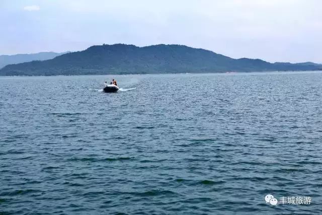 江西丰城丰城富硒大米（江西丰城大米加工厂）-硒宝网