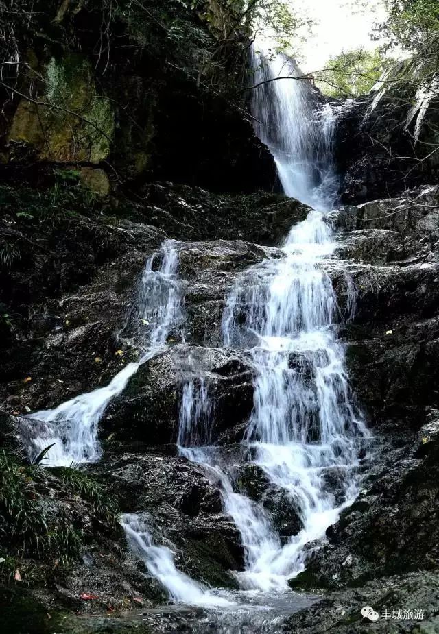 江西丰城丰城富硒大米（江西丰城大米加工厂）-硒宝网