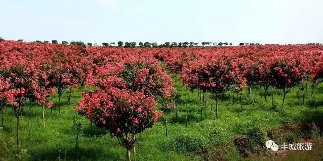 江西丰城丰城富硒大米（江西丰城大米加工厂）-硒宝网