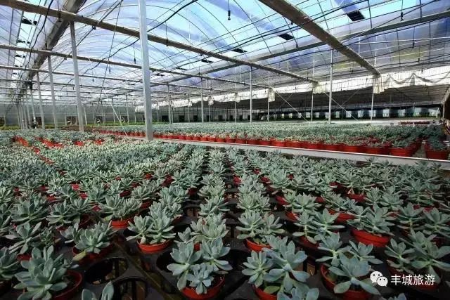 江西丰城丰城富硒大米（江西丰城大米加工厂）-硒宝网