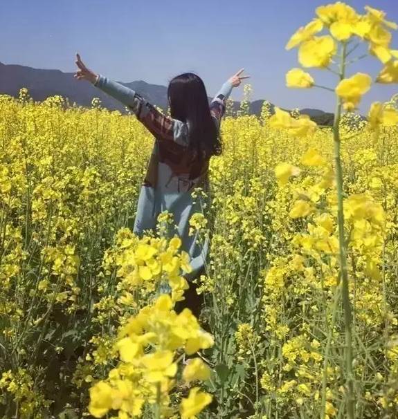 江西丰城丰城富硒大米（江西丰城大米加工厂）-硒宝网