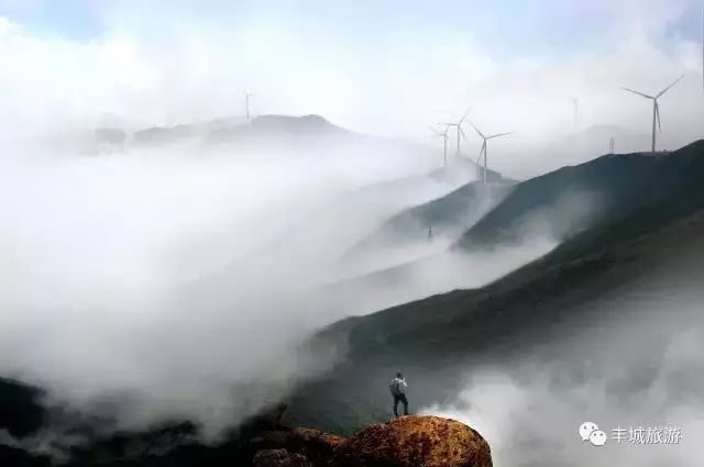 江西丰城丰城富硒大米（江西丰城大米加工厂）-硒宝网