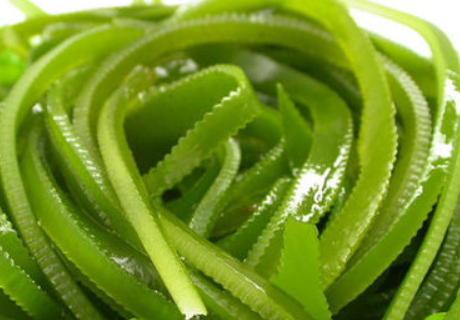 补钙最好的食物(食物补钙好还是保健品补钙好)-硒宝网