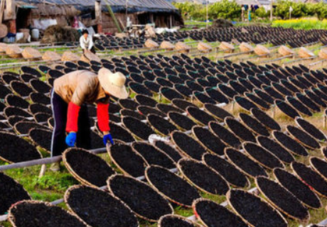 补钙最好的食物(食物补钙好还是保健品补钙好)-硒宝网