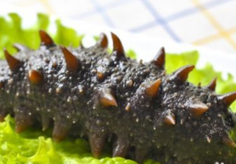 补钙最好的食物(食物补钙好还是保健品补钙好)-硒宝网