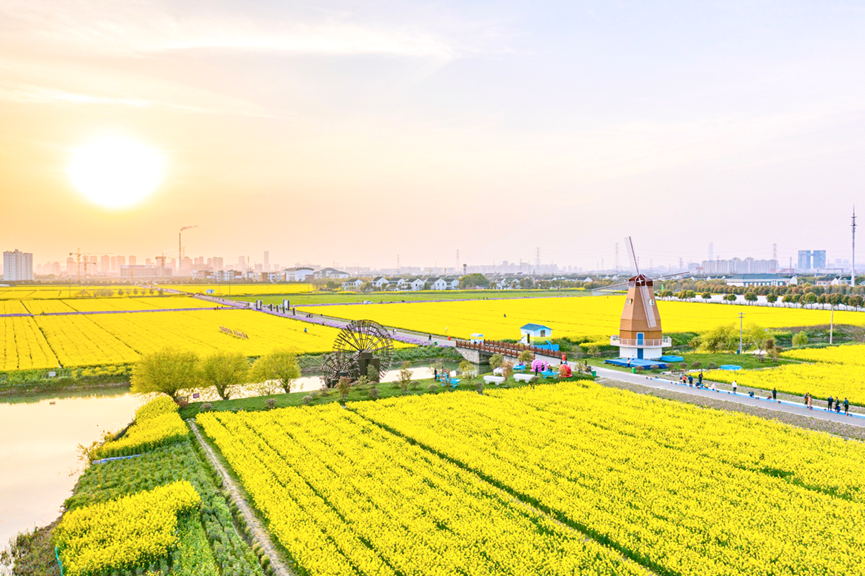 太仓东林农场富硒大米(太仓大米多少钱一斤)-硒宝网