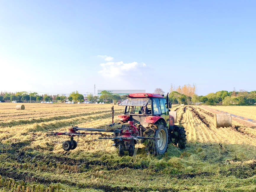 太仓东林农场富硒大米(太仓大米多少钱一斤)-硒宝网