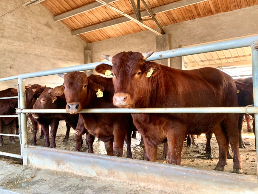 太仓东林农场富硒大米(太仓大米多少钱一斤)-硒宝网