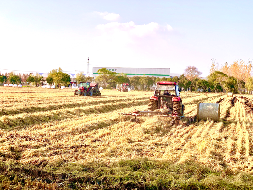 太仓东林农场富硒大米(太仓大米多少钱一斤)-硒宝网