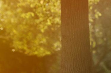 微量元素需要查吗（查微量元素需要挂什么科）-硒宝网