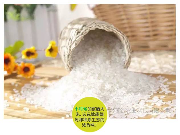 富硒大米对人体的好处（大米含硒有什么好处）-硒宝网