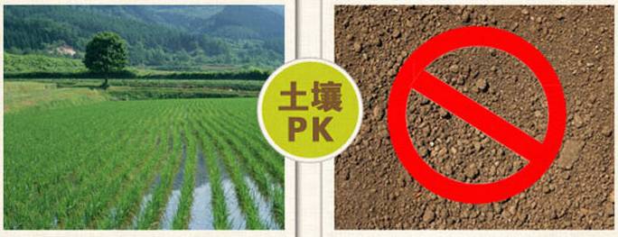 富硒大米对人体的好处（大米含硒有什么好处）-硒宝网