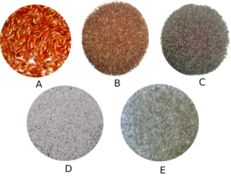 宜春富硒大米企业名单(宜春大米品牌)-硒宝网