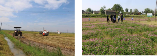 宜春富硒大米企业名单(宜春大米品牌)-硒宝网