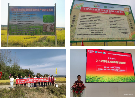 宜春富硒大米企业名单(宜春大米品牌)-硒宝网