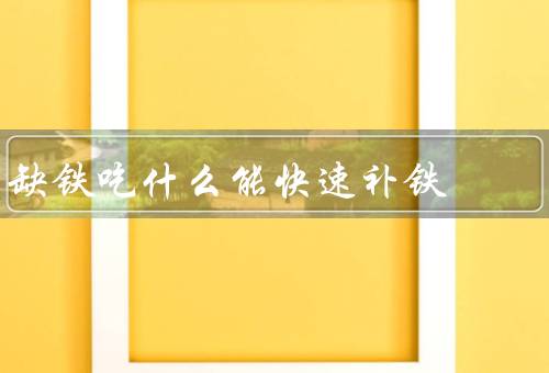 什么蔬菜补铁（蔬菜补铁效果好吗）-硒宝网