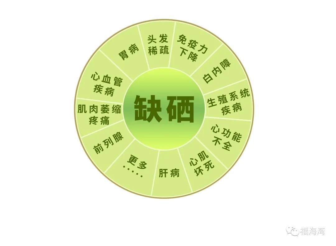 富硒大米的产地有哪些(大米产地富硒有哪些)-硒宝网