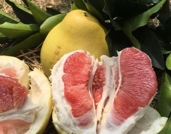 永州绿色富硒大米价格（富硒优质大米）-硒宝网