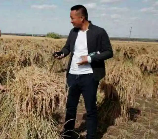 富硒稻花香大米的标准(富硒大米标准号)-硒宝网