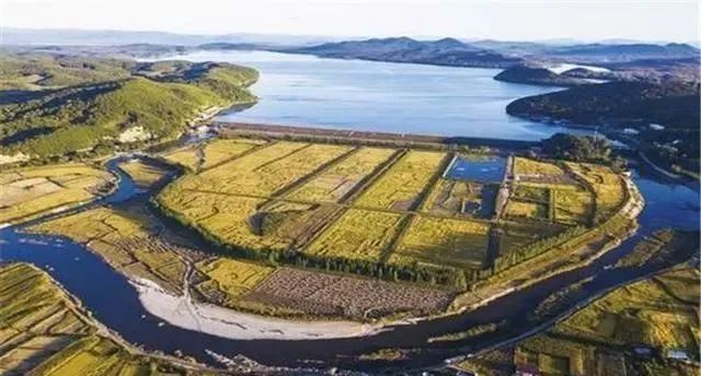 富硒稻花香大米的标准(富硒大米标准号)-硒宝网