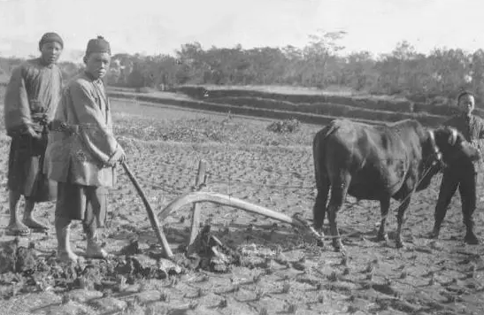 富硒稻花香大米的标准(富硒大米标准号)-硒宝网