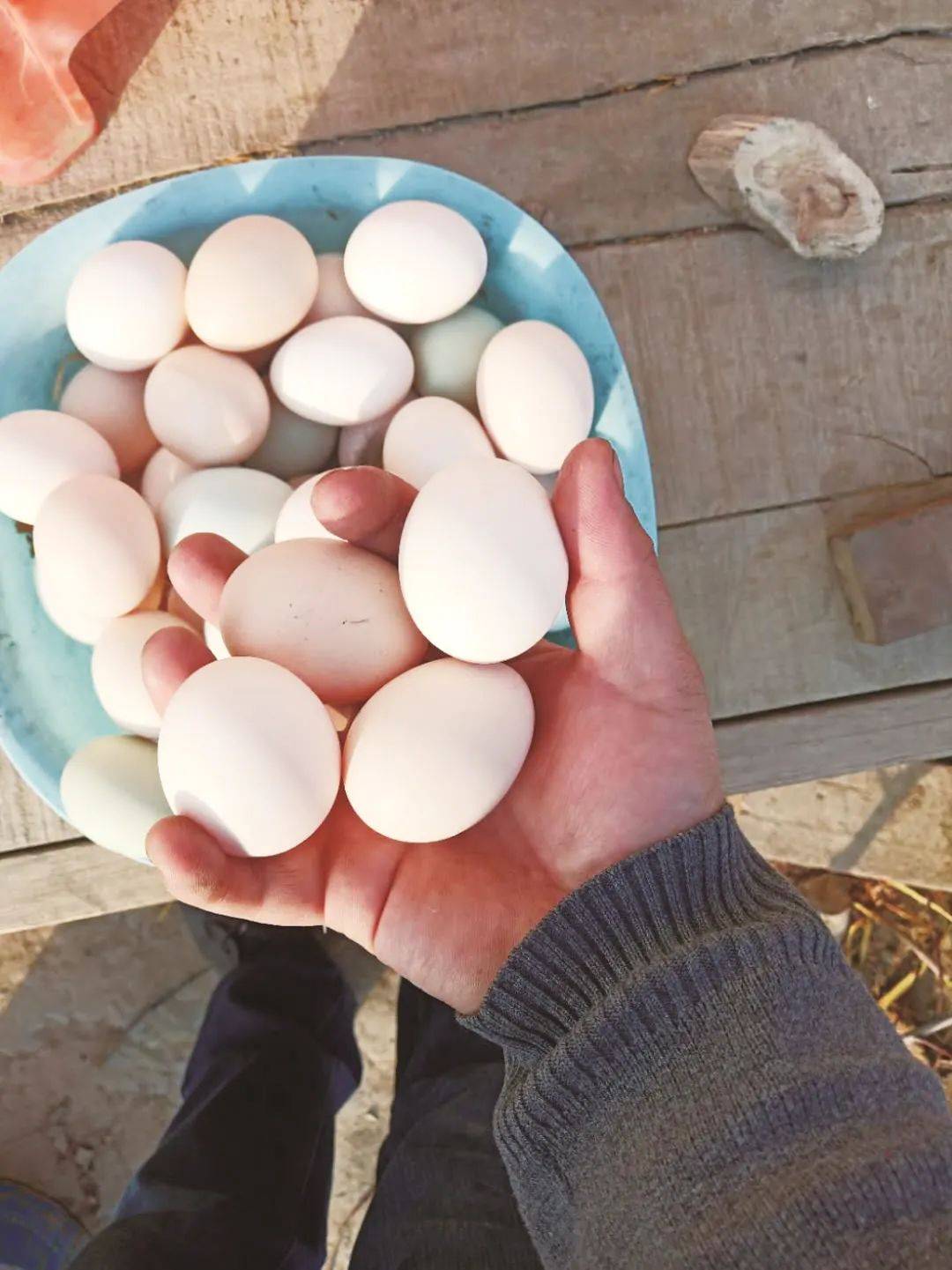 河北沧州春润富硒大米(河北沧州春润富硒大米)-硒宝网