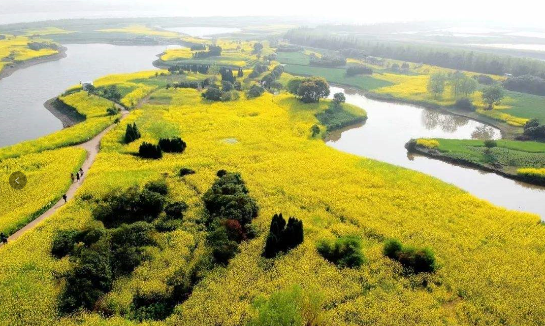 富硒大米在新疆哪里有（富硒的大米）-硒宝网