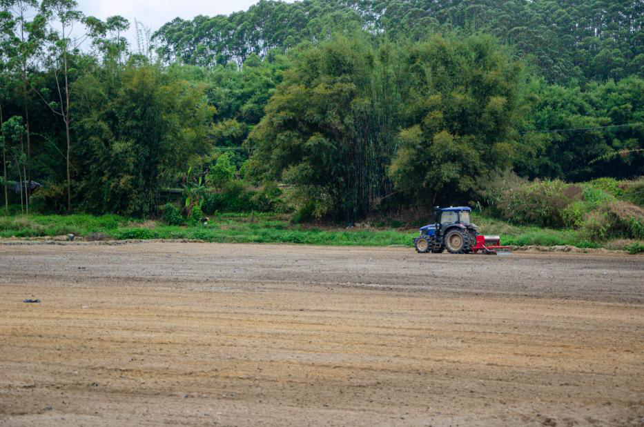 富硒大米在新疆哪里有(富硒优质大米)-硒宝网