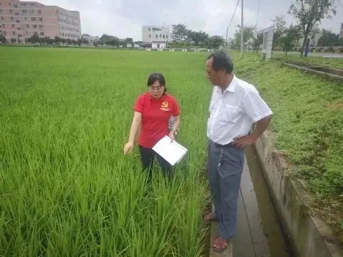 汝湖富硒大米价格多少（富硒大米2.5公斤价格）-硒宝网