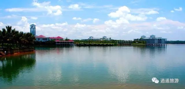 富硒大米在什么地方买（富硒大米哪里好）-硒宝网