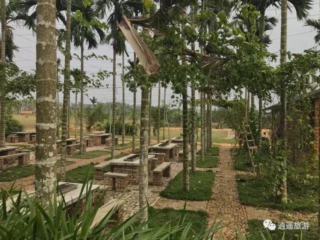 富硒大米在什么地方买（富硒大米哪里好）-硒宝网