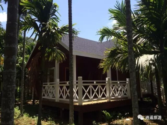 富硒大米在什么地方买（富硒大米哪里好）-硒宝网