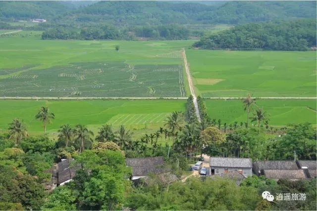 富硒大米在什么地方买（富硒大米哪里好）-硒宝网