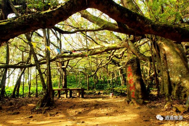 富硒大米在什么地方买（富硒大米哪里好）-硒宝网