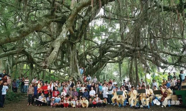 富硒大米在什么地方买（富硒大米哪里好）-硒宝网