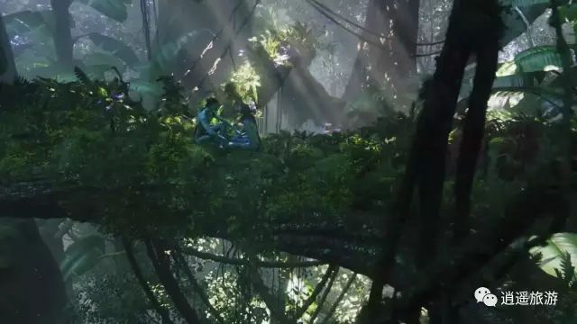 富硒大米在什么地方买（富硒大米哪里好）-硒宝网