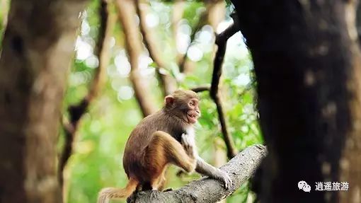 富硒大米在什么地方买（富硒大米哪里好）-硒宝网