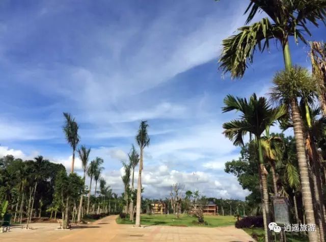 富硒大米在什么地方买（富硒大米哪里好）-硒宝网