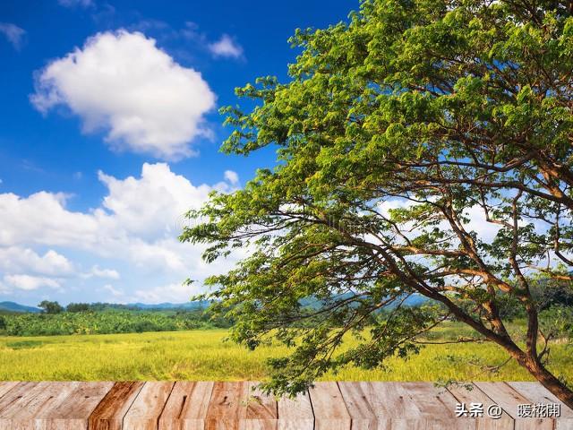 大米里富硒的营养价值（富硒大米营养成分表）-硒宝网