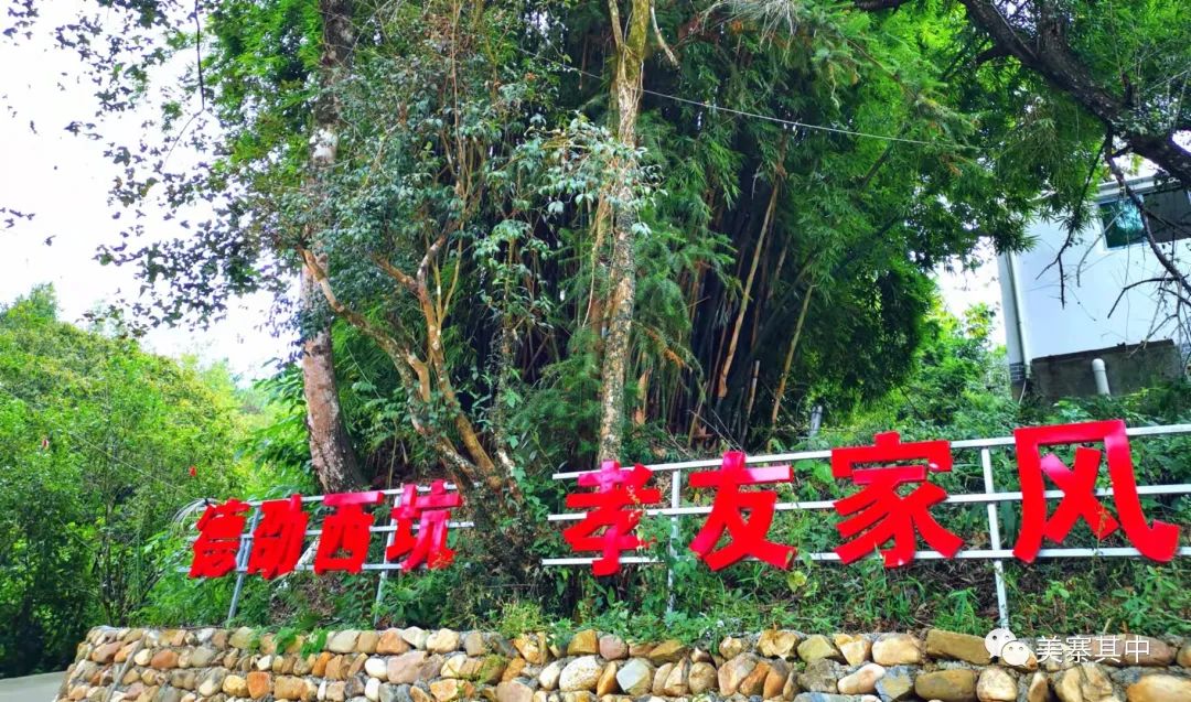 西坑香富硒大米特香好（富硒香米多少钱一斤）-硒宝网