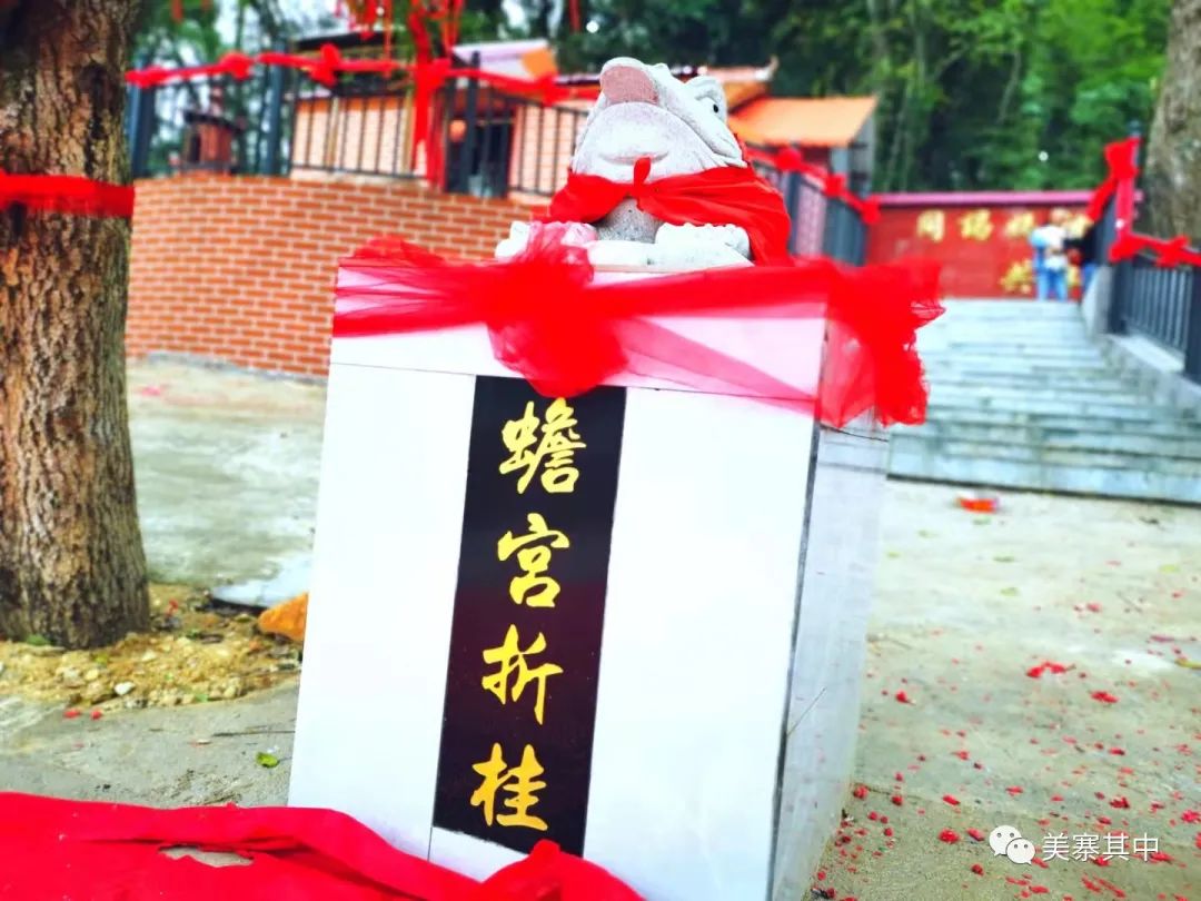 西坑香富硒大米特香好（富硒香米多少钱一斤）-硒宝网